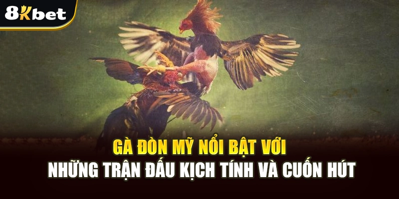 Giải Trí Gà Đòn Mỹ 8kbet Sôi Động Với Cơ Hội Cá Cược An Toàn 3 Gà đòn mỹ nổi bật với những trận đấu kịch tính và cuốn hút