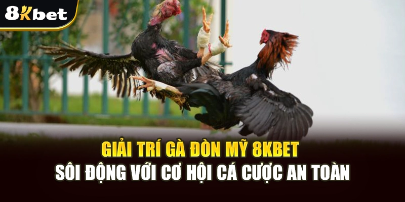 Giải Trí Gà Đòn Mỹ 8kbet Sôi Động Với Cơ Hội Cá Cược An Toàn 3 Giải Trí Gà Đòn Mỹ 8kbet Sôi Động Với Cơ Hội Cá Cược An Toàn