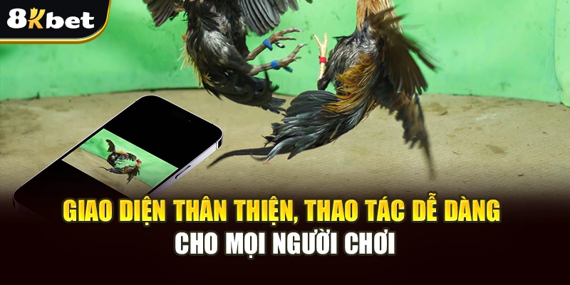 Đá Gà 8kbet – Trải Nghiệm Cá Cược Sinh Động Tại 8kbet 2 Giao diện thân thiện, thao tác dễ dàng cho mọi người chơi