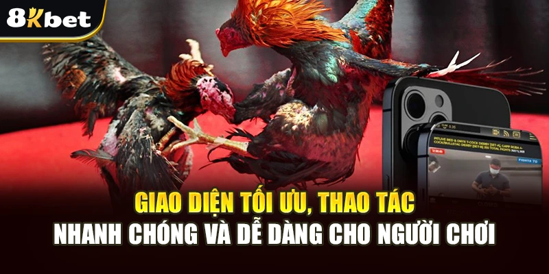 Giải Trí Gà Đòn Mỹ 8kbet Sôi Động Với Cơ Hội Cá Cược An Toàn 2 Giao diện tối ưu, thao tác nhanh chóng và dễ dàng cho người chơi