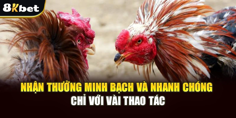Gà Tre Đá Đỉnh Cao: Trải Nghiệm Cá Cược An Toàn Tại 8kbet 4 Nhận thưởng minh bạch và nhanh chóng chỉ với vài thao tác