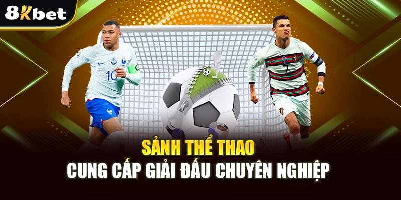 Thể Thao 8Kbet - Cược Thể Thao Trong Nước Và Quốc Tế Hấp Dẫn 2 Sảnh thể thao cung cấp giải đấu chuyên nghiệp