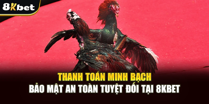 Giải Trí Gà Đòn Mỹ 8kbet Sôi Động Với Cơ Hội Cá Cược An Toàn 4 Thanh toán minh bạch, bảo mật an toàn tuyệt đối tại nền tảng